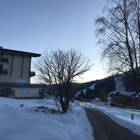 Appartement 6 pers - Les 4 Loups au coeur de la nature Gérardmer Extérieur photo