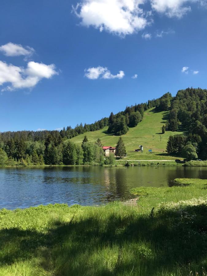 Appartement 6 pers - Les 4 Loups au coeur de la nature Gérardmer Extérieur photo