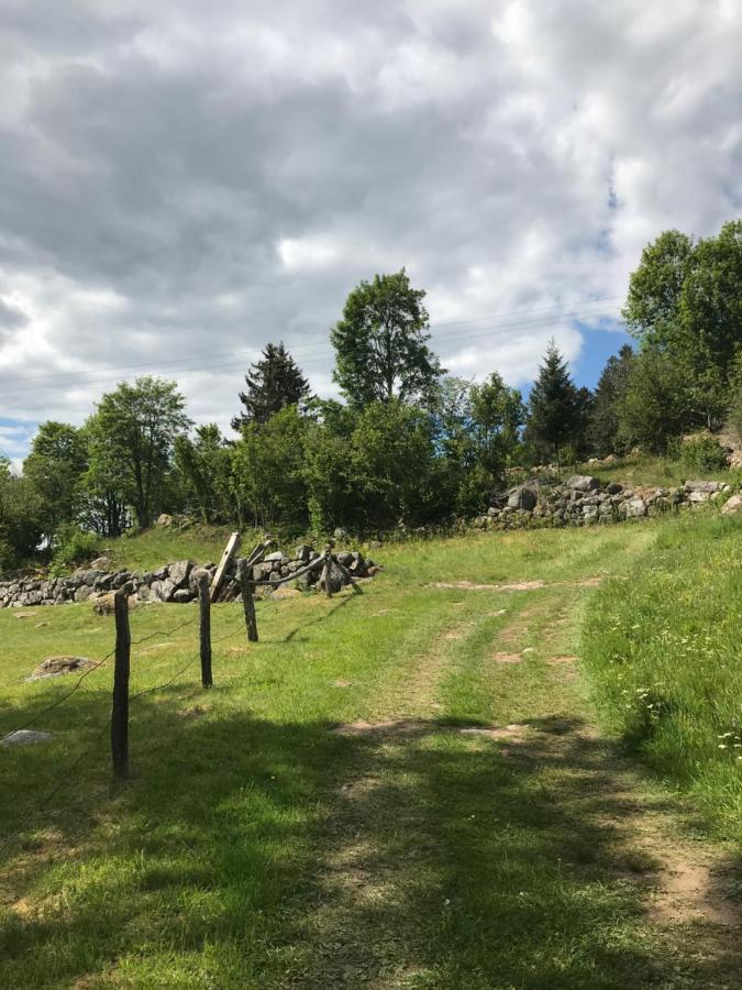 Appartement 6 pers - Les 4 Loups au coeur de la nature Gérardmer Extérieur photo