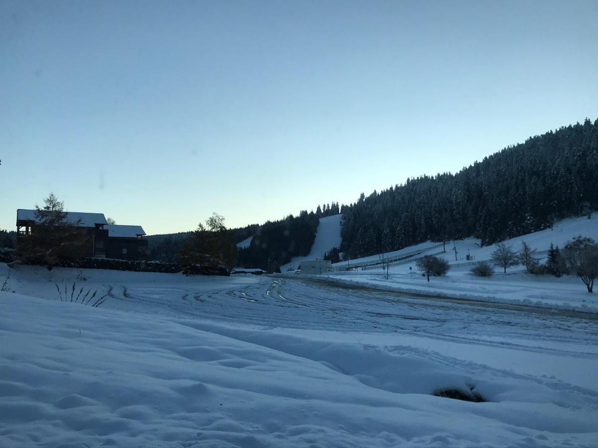 Appartement 6 pers - Les 4 Loups au coeur de la nature Gérardmer Extérieur photo