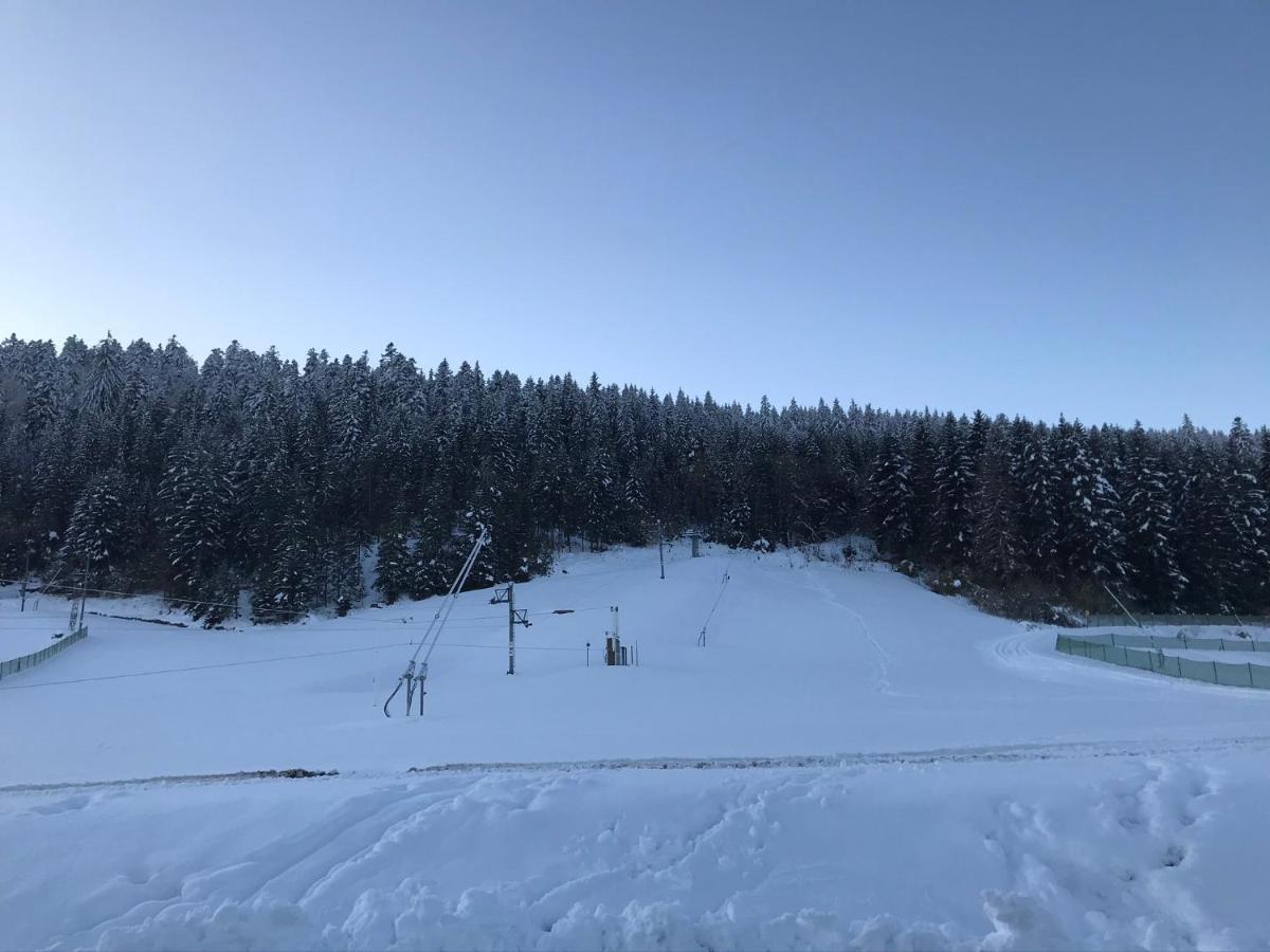 Appartement 6 pers - Les 4 Loups au coeur de la nature Gérardmer Extérieur photo