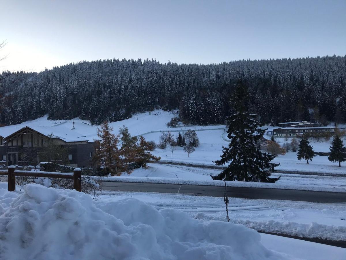 Appartement 6 pers - Les 4 Loups au coeur de la nature Gérardmer Extérieur photo