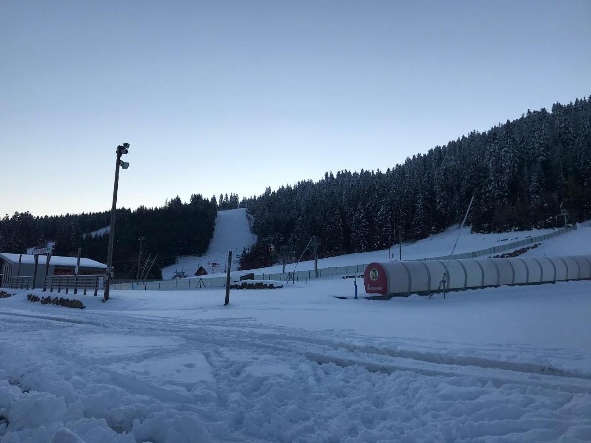 Appartement 6 pers - Les 4 Loups au coeur de la nature Gérardmer Extérieur photo