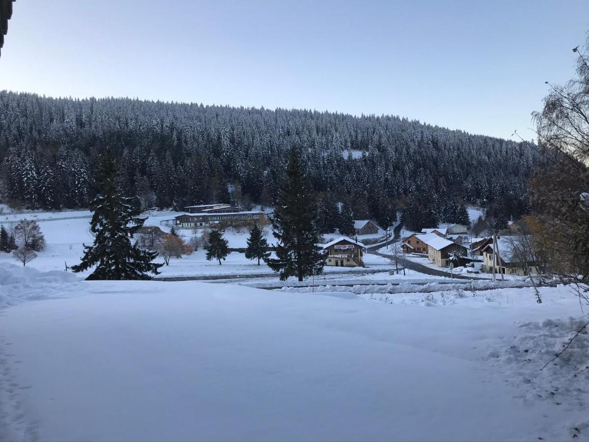 Appartement 6 pers - Les 4 Loups au coeur de la nature Gérardmer Extérieur photo