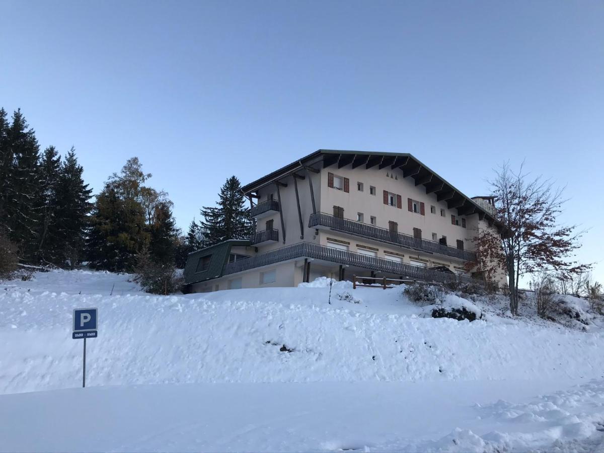 Appartement 6 pers - Les 4 Loups au coeur de la nature Gérardmer Extérieur photo