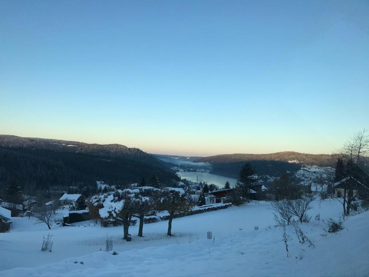 Appartement 6 pers - Les 4 Loups au coeur de la nature Gérardmer Extérieur photo