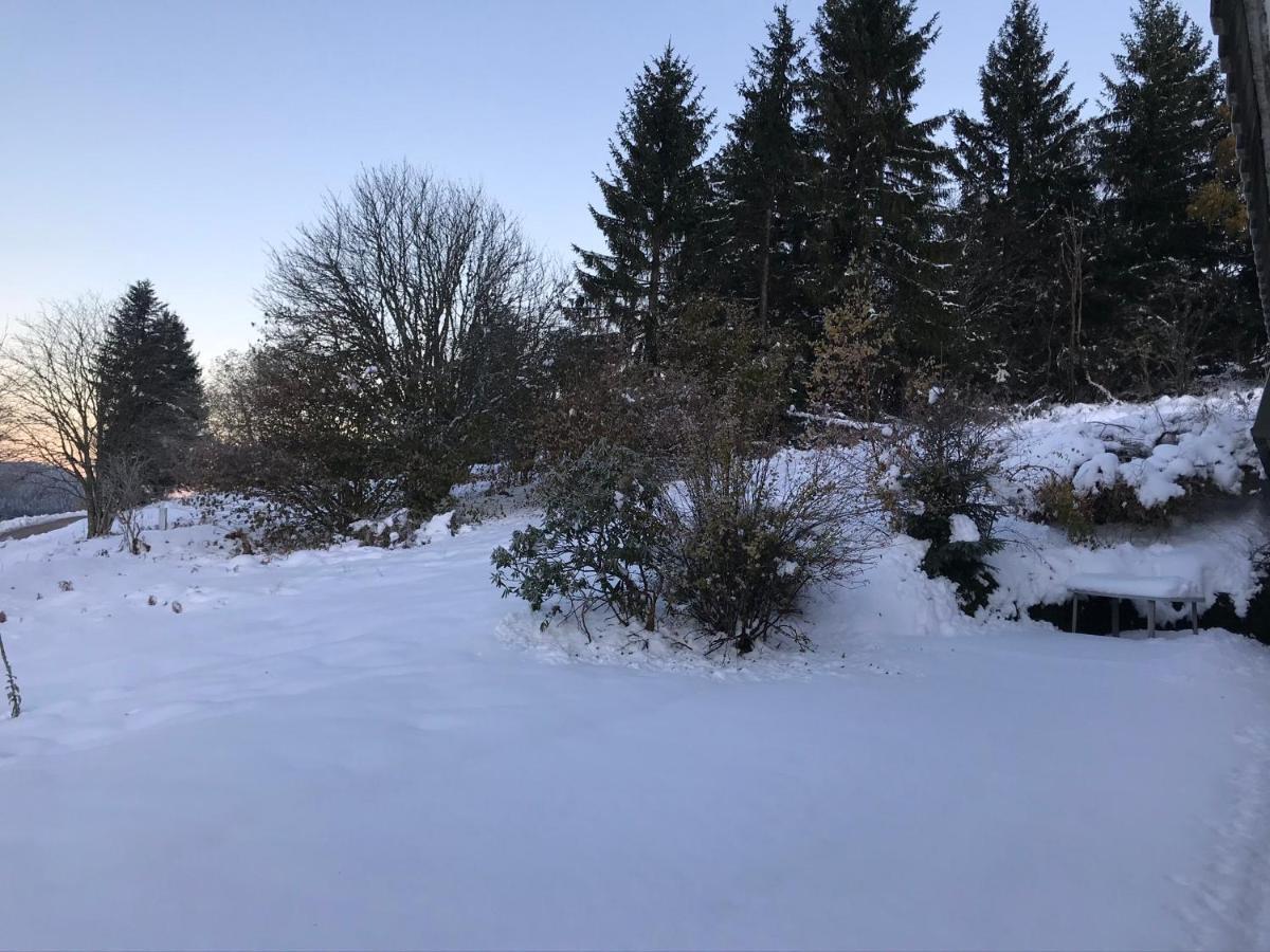 Appartement 6 pers - Les 4 Loups au coeur de la nature Gérardmer Extérieur photo