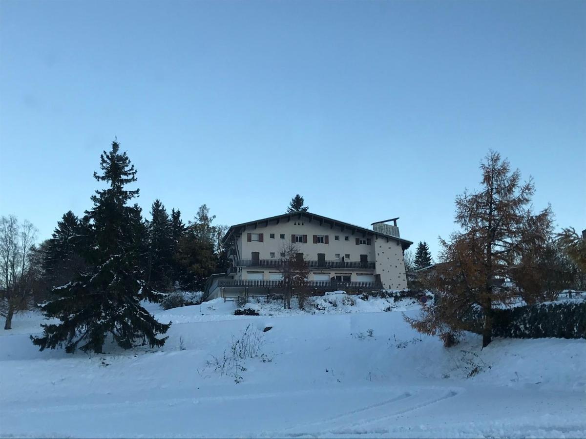 Appartement 6 pers - Les 4 Loups au coeur de la nature Gérardmer Extérieur photo