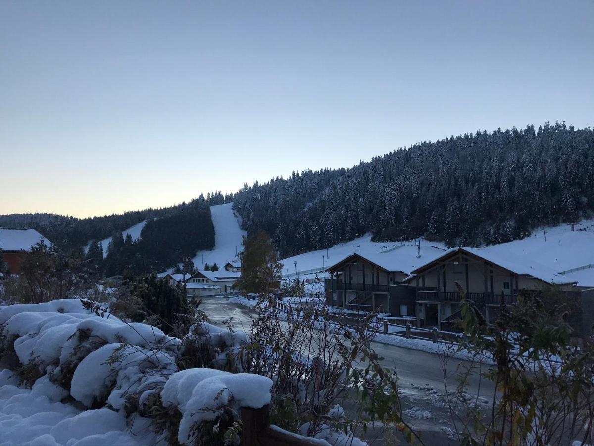 Appartement 6 pers - Les 4 Loups au coeur de la nature Gérardmer Extérieur photo